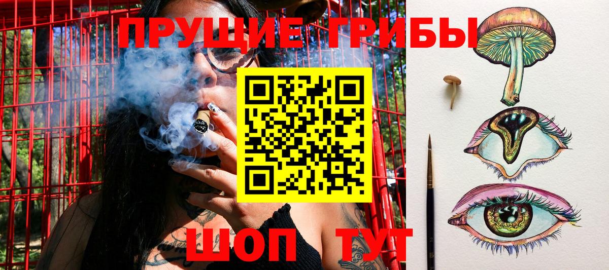 Псилоцибиновые грибы MAGIC MUSHROOMS  купить закладку  Галлюциногенные грибы ЛСД  Югорск  Вход с VPN 