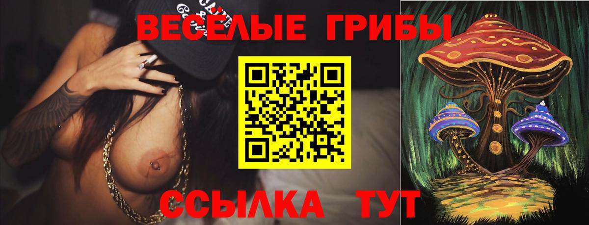 Псилоцибиновые грибы Cubensis Югорск